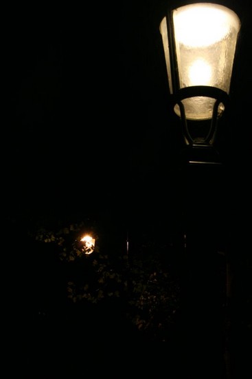 lampadaires-bruxelles-divers_0092_.jpg