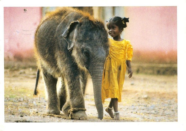 Petite Indienne et éléphant