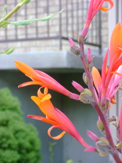 photo-1707.jpg
