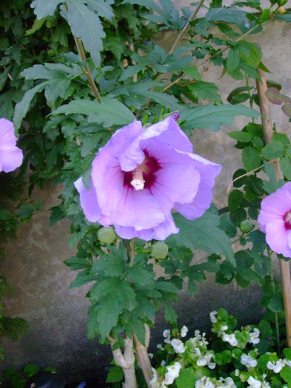 photo-1796.jpg