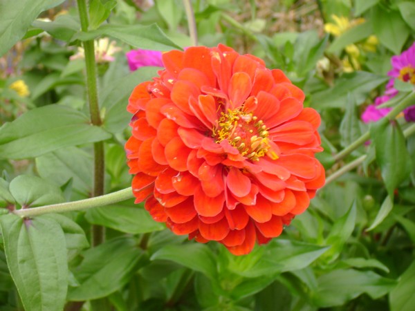 photo-1852.jpg