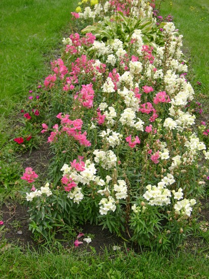 photo-1862.jpg