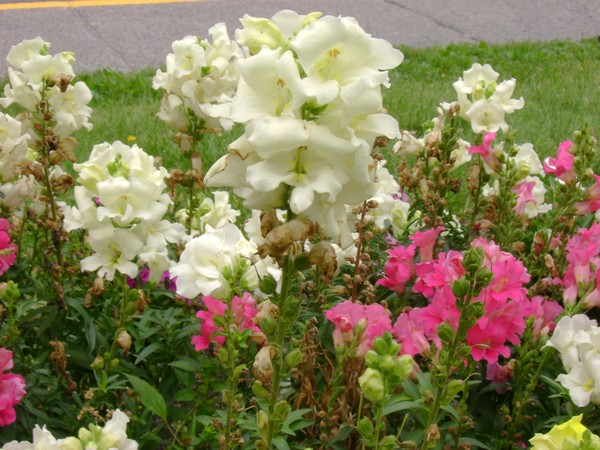 photo-1864.jpg