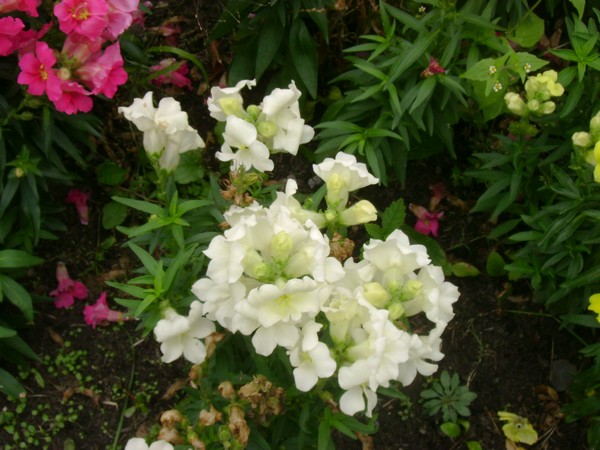 photo-1865.jpg