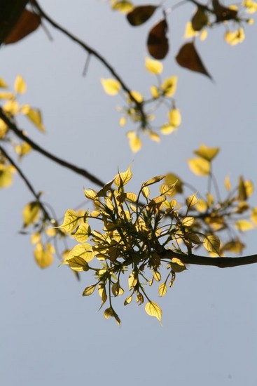 lali-cadeau-pour-son-blog-img_0090.jpg