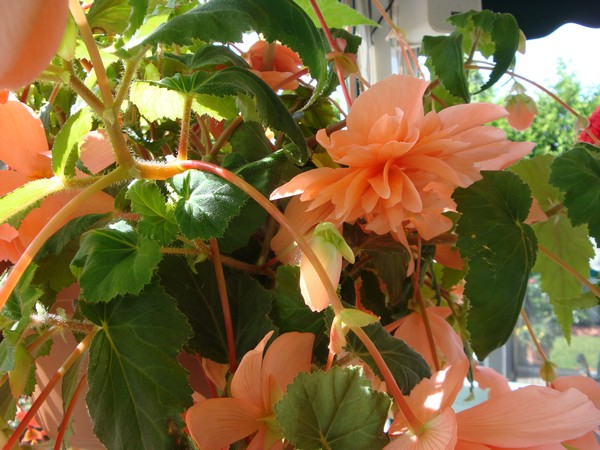 photo-1319.jpg