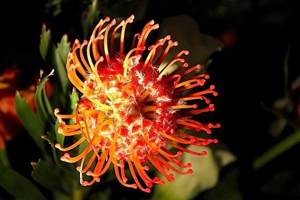 0800 0 AR IMG_0036 2